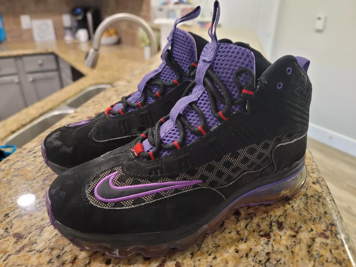 womens purple and black nike air max