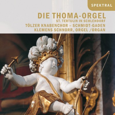 Schnorr DIE THOMA ORGEL IN ST.TER (CD)