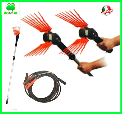 Abbacchiatore Olive Elettrico 12V - 130W Con 1000 Colpi/Min | Asta Telescopica 2-3.1m | Professionale - Foto 4