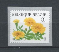 BELGIUM 2008 tagetes patula flower coil stamp  mnh** 3824