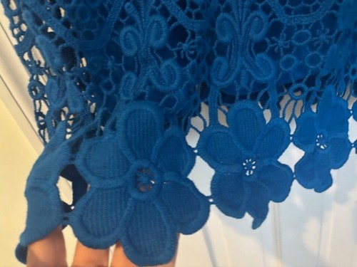 NWT$99 Alfani Womens Lace Crochet Sheath Shift Dress CREST BLUE XL GORGEOUS - Picture 7 of 12