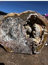 Agatized Fossil Coral Colony Geode (Large Specimen) Massive 65lbs