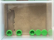 LEGO Parts - Bright Green Tile, Round 1 x 1 - No 98138 - QTY 5