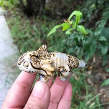 Piedra de pintura china natural cuarzo salamandra tallado cuarzo cristal Reiki 1 pieza