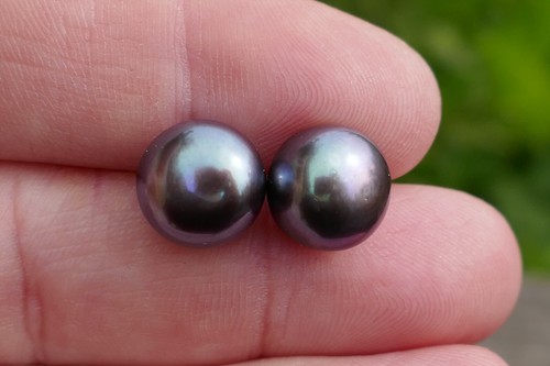 Vintage Honora 14k Yellow Gold & 10.2mm Gray Button Pearl Studs In Original Box - Picture 4 of 20