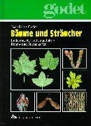 Bäume und Sträucher: Einheimische und eingeführte Baum- ... | Buch | Zustand gut
