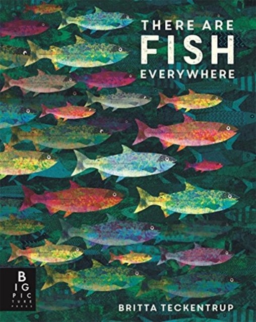 There are Fish Everywhere by Katie Haworth (Paperback Book)