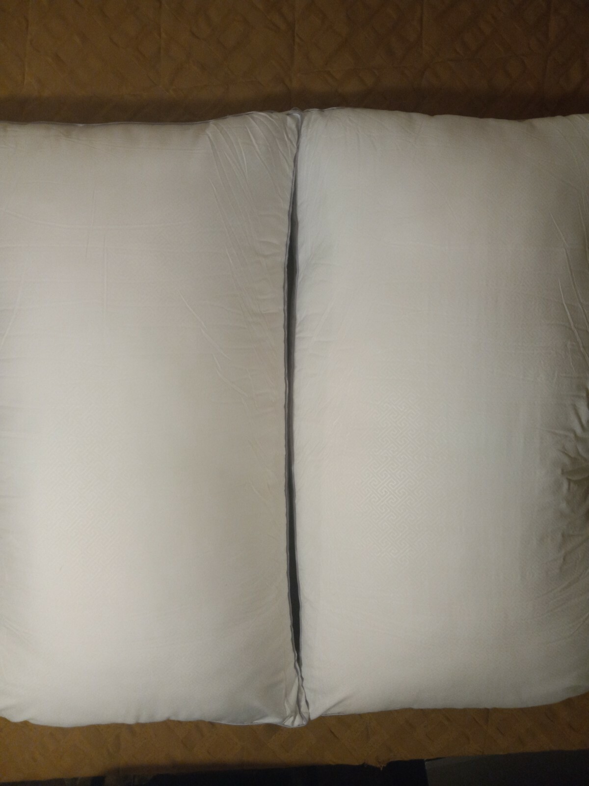 Two VIEWSTAR 20 by 35 Hotel Quality Pillows For Side And Back Sleepers