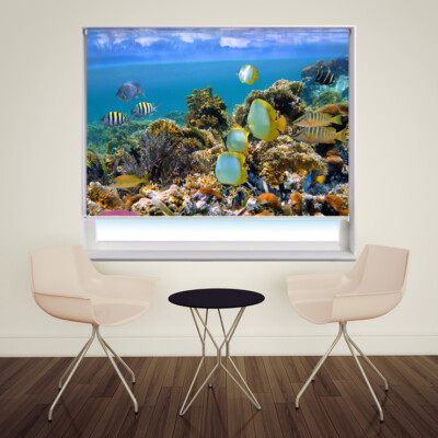Tropische Korallenbucht unter Meer Fisch gedruckt Bild Foto Fenster Rollo