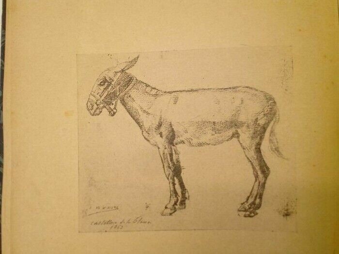 libro antiguo-Doscientos nuevos dibujos de maestros modernos -XX