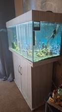 [SECOND HAND] Fish Tank Aquarium