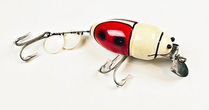 Creek chub Sucker | eBay