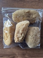 Natural Sea Sponge 4 Pc