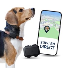 Salind Traceur GPS pour Chiens 4G – Suivi en Direct, Étanche, Alertes Fuite
