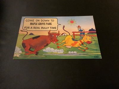 Maple Grove, Pa ~ Maple Grove Park -Comic Linen -1968 Stamped Vintage Postcard