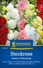 Kiepenkerl Stockrose