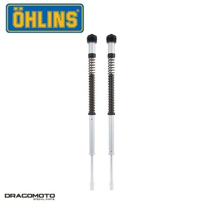 Cartridge Kit Harley FLHT 1750 ABS Electra Glide Standard 107 2019-2022 OHLIN...