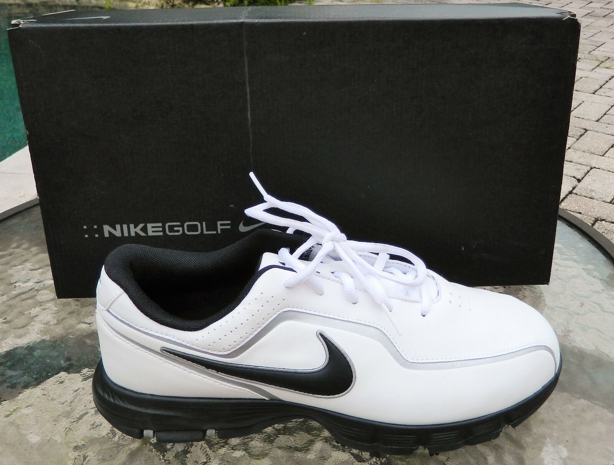 yeezy blue tint 11.5