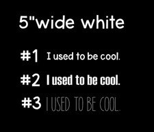 I Used To Be Cool. Vinyl Car Sticker Decal White