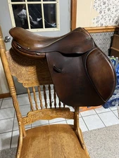 Beval LTD 2 English Jump Show Saddle, 17" Seat
