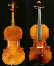 Guarneri Violin Fantastic Sound 1-PC Back Master Work