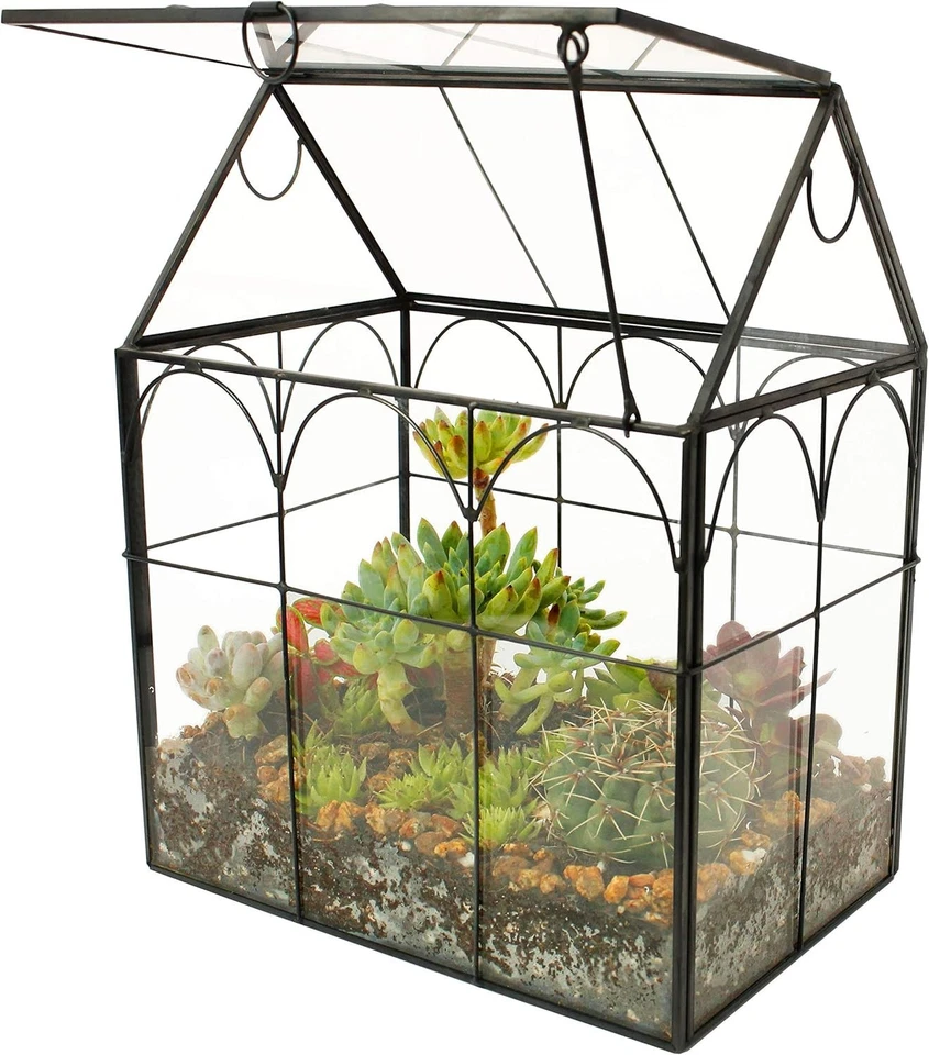 Hinged Roof Irregular Glass Terrarium for Indoor Succulents - 7.13 in Size - Image 3 of 4