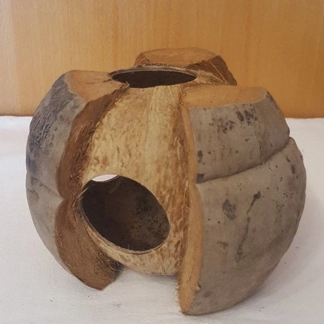 MARKENLOS Kokosnuss Baumhaus mit Löchern - Deko Höhle - Versteck Reptilien Terrarium