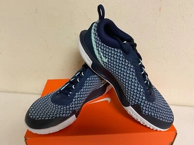 Nike Men's Zoom Court Pro Tennis Shoe Style DH0618 410