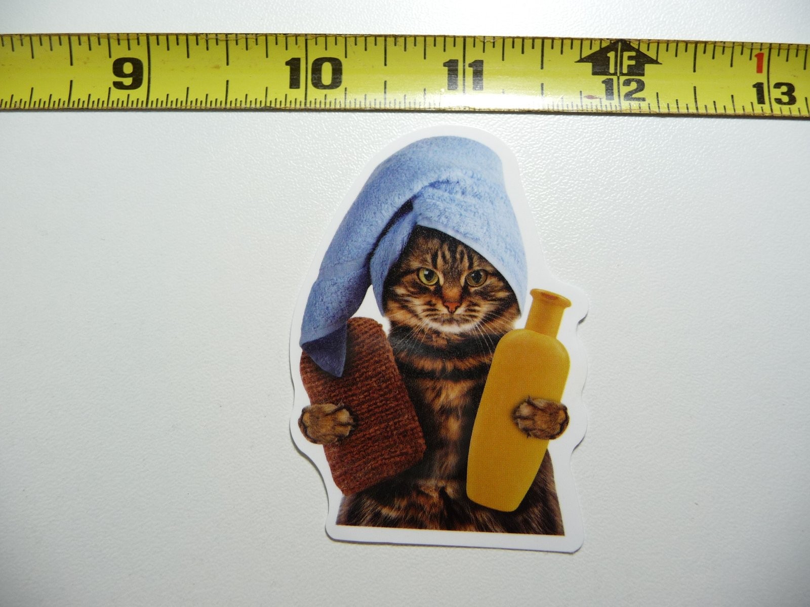 SPA Day Cat Decal Sticker for Feline Lovers Pet House Decor Kitten