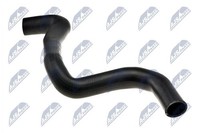 Nty KüHlerschlauch CPP-FR-005 FüR Ford