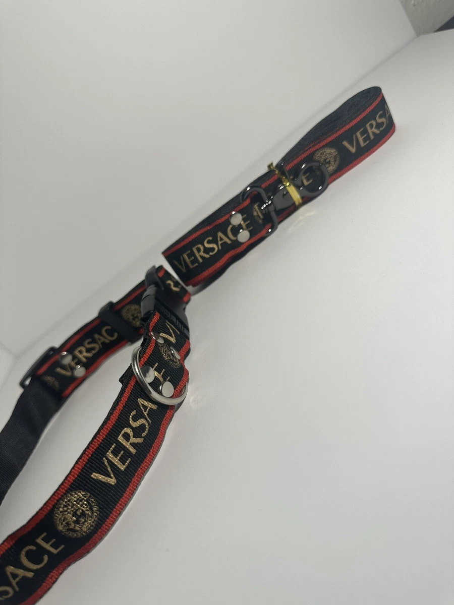 Fendi dog collar and cheap leash