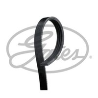 Gates Keilrippenriemen FüR Nissan Almera Tino 1.8 1.5 1.6 Visia Mazda Demio 121