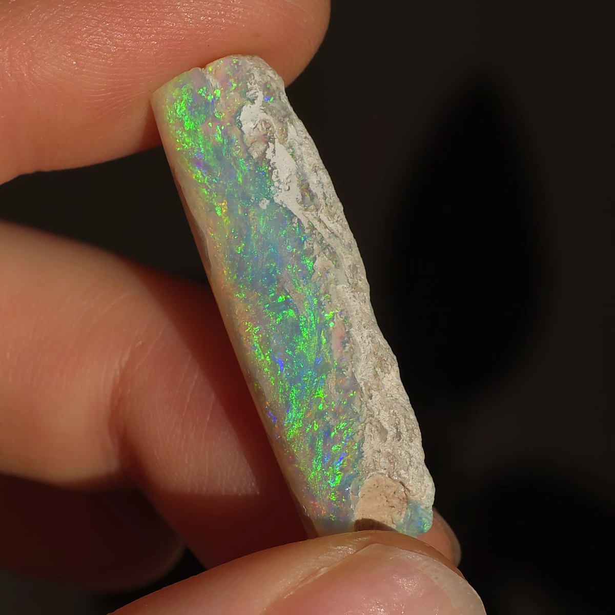 Australian Crystal Opal Belemnite Fossil 14 Carats | eBay