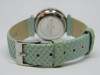 Skagen Denmark 107SSLI1 All Stainless Steel Quartz Women display picture 1