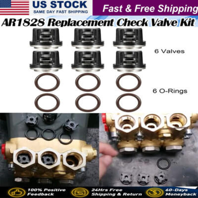 #ad AR1828 Pump Check Valves Kit for Annovi Reverberi 18mm XR RK RKA RKV XRC Series $28.50