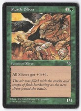 Muscle Sliver Normal C Tempest 238 MP