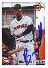 Braylin Tavera Signed  IP 2024 Delmarva Shorebirds Card #8 Baltimore Orioles!