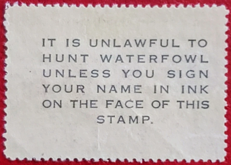 US 1953 FEDERAL DUCK STAMP #RW20 MIGRATORY BIRD HUNTING STAMP MLH OG F/VF - Image 3 of 4