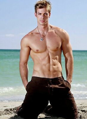 WILLIAM LEVY V002 393 PHOTO