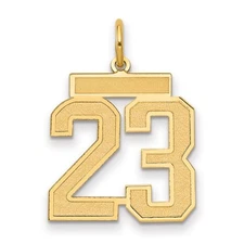 14k Yellow Gold Medium Satin Number 23 Charm Pendant Perfect Gift for Her