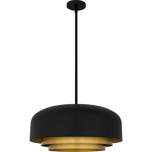 Quoizel FRK2822 Frankie 4 Light 22"W Pendant - Black - Picture 8 of 8
