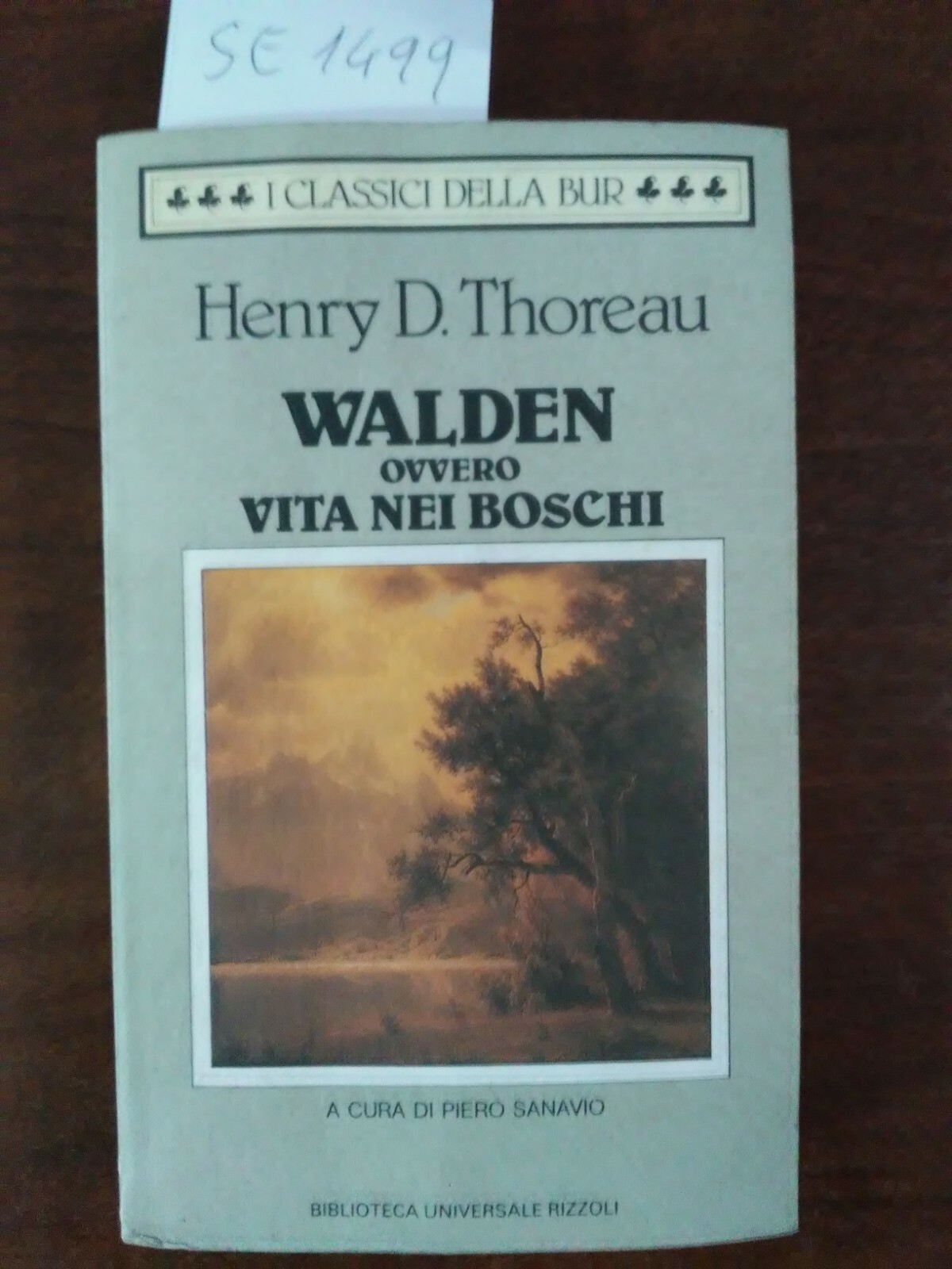Walden ovvero vita nei boschi - Henry D. Thoreau