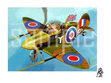 Deals Wheels Rif Raf's Spitsfire Plane TShirt 4167 spitfire fighter pilot