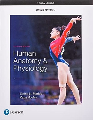Study Guide for Human Anatomy & Physiology - Paperback - VERY GOOD