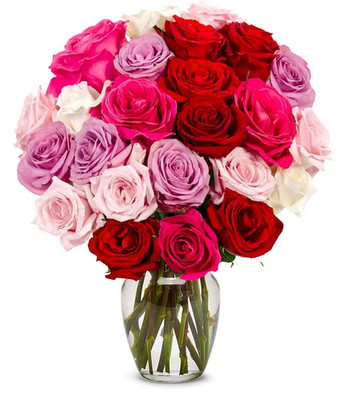 - Two Dozen Romantic Roses for Birthday, Anniversary, Get Well, Congratulations,
