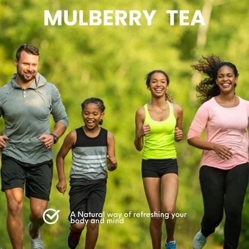 WAY 4 ORGANIC W4O Mulberry Tea in Dip 30TB 100G