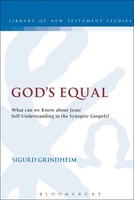 Sigurd Grindheim | God's Equal | Taschenbuch | Englisch (2013) | Bloomsbury 3PL