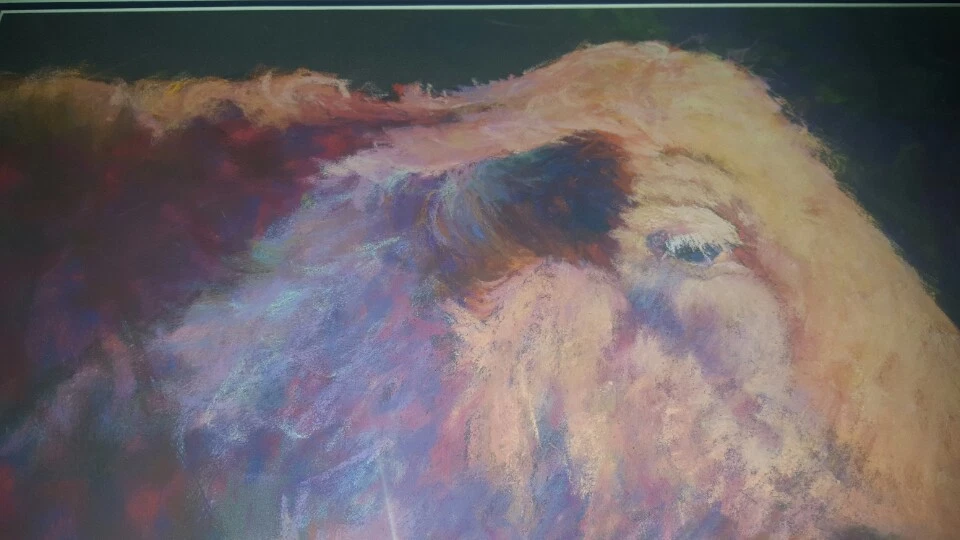 Picture 6 of 9