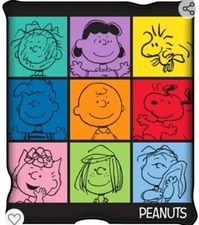 NEW!  Peanuts Character Grid Raschel 50"×60" Throw Blanket