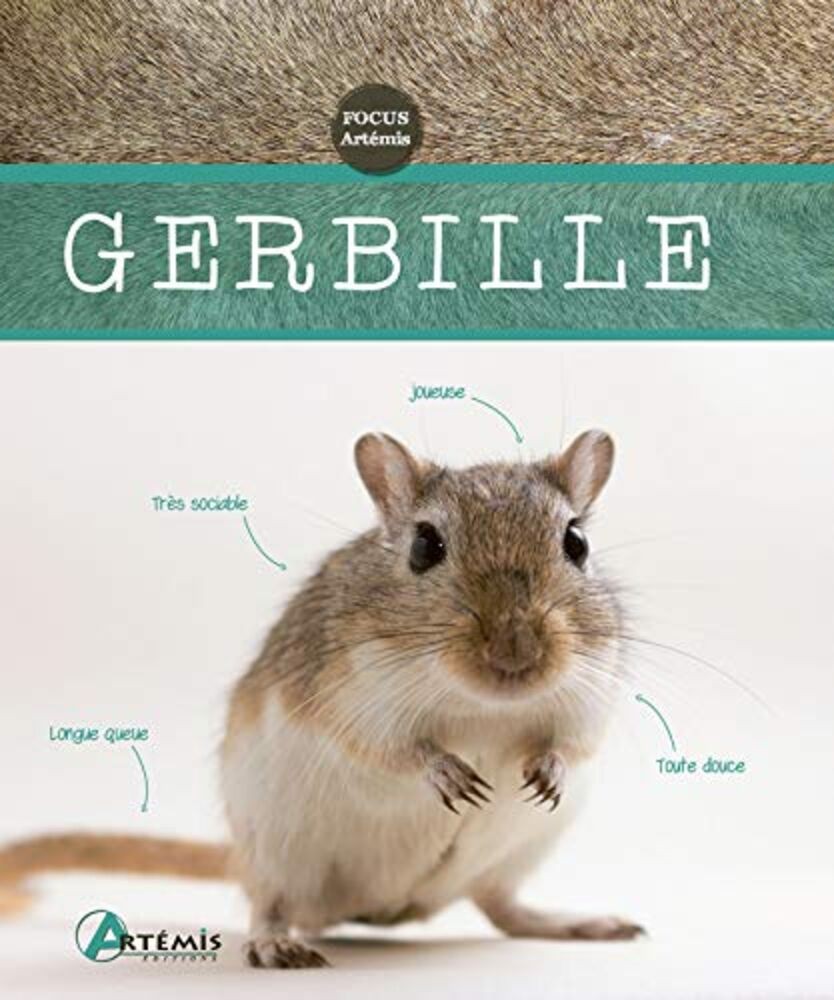 Gerbil | Very Good Condition